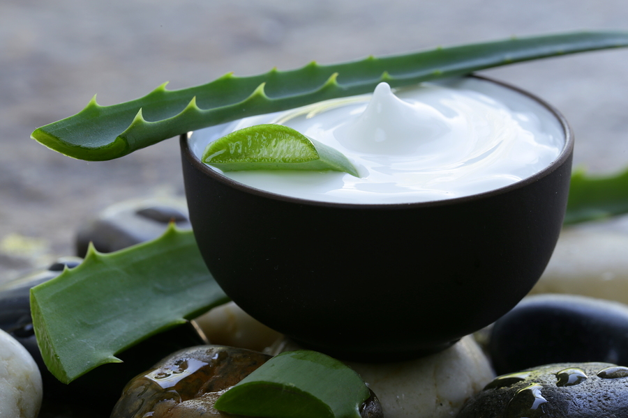 cosmetic cream lotion with natural green fresh aloe vera